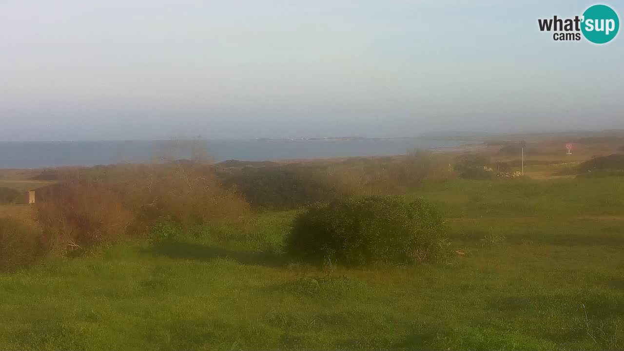 Mari Ermi Strand | Is Arutas – Oristano