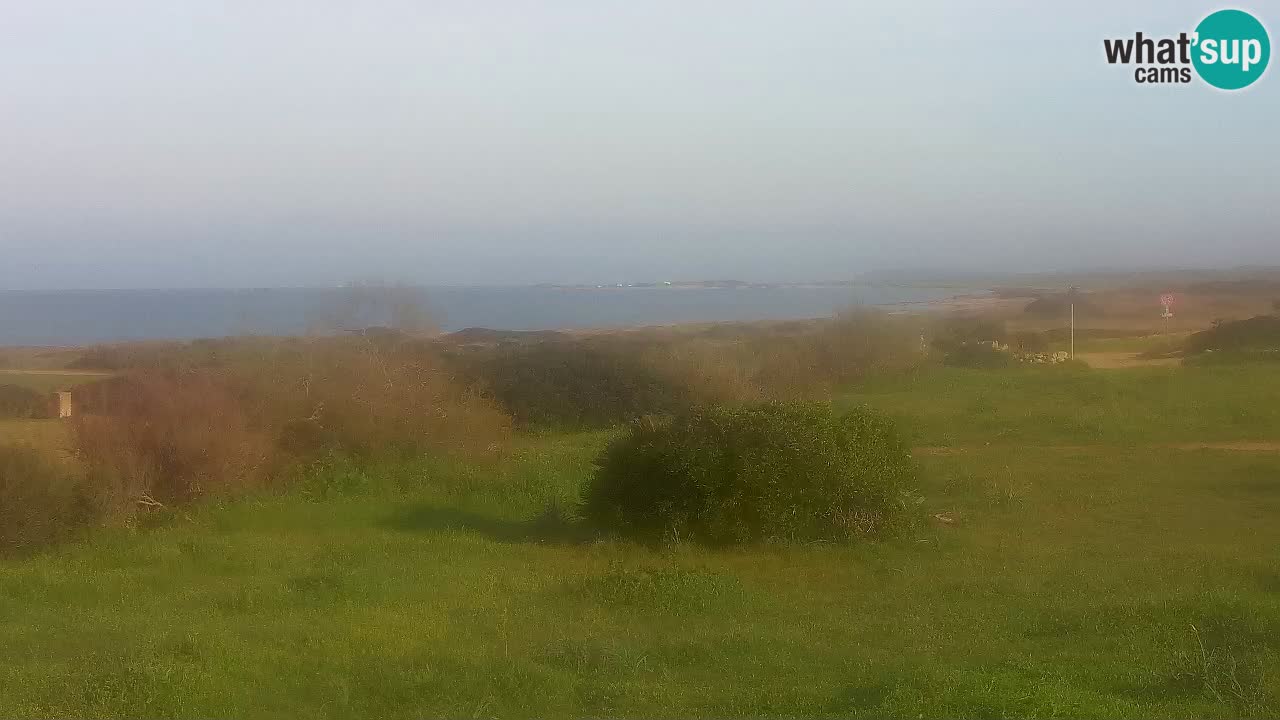 Mari Ermi Strand | Is Arutas – Oristano