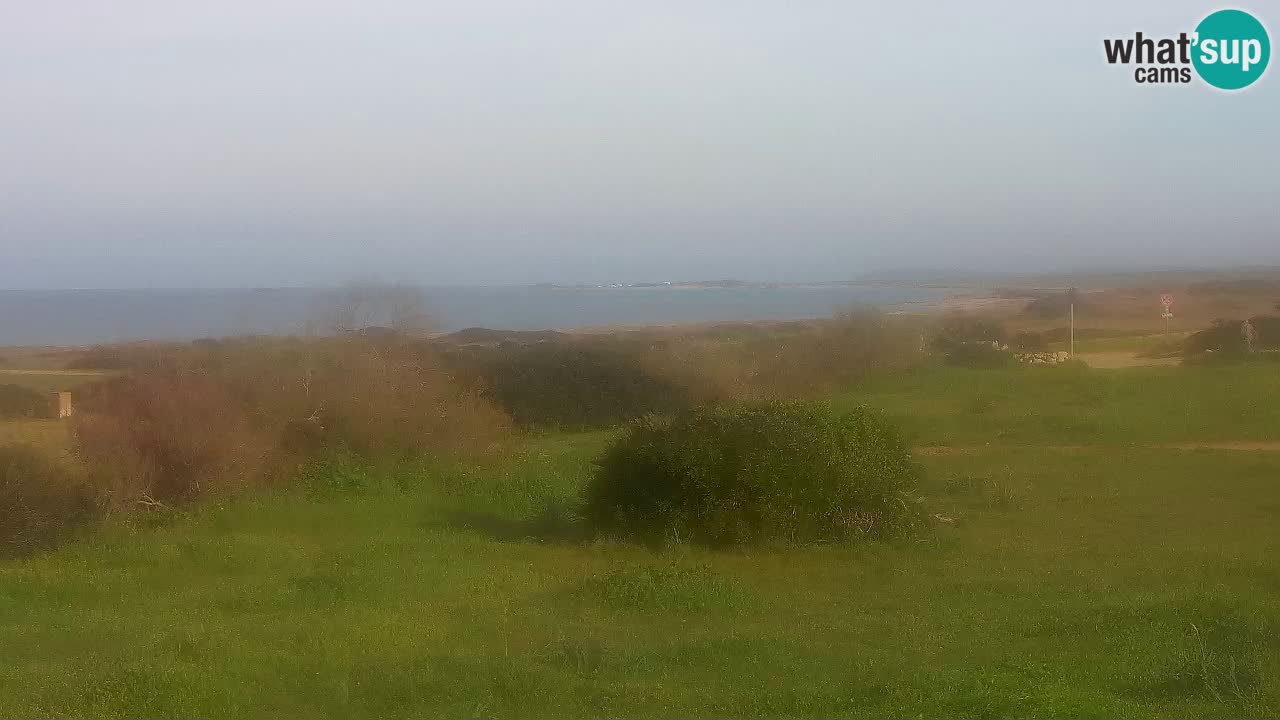 Spiaggia Mari Ermi | Is Arutas – Oristano