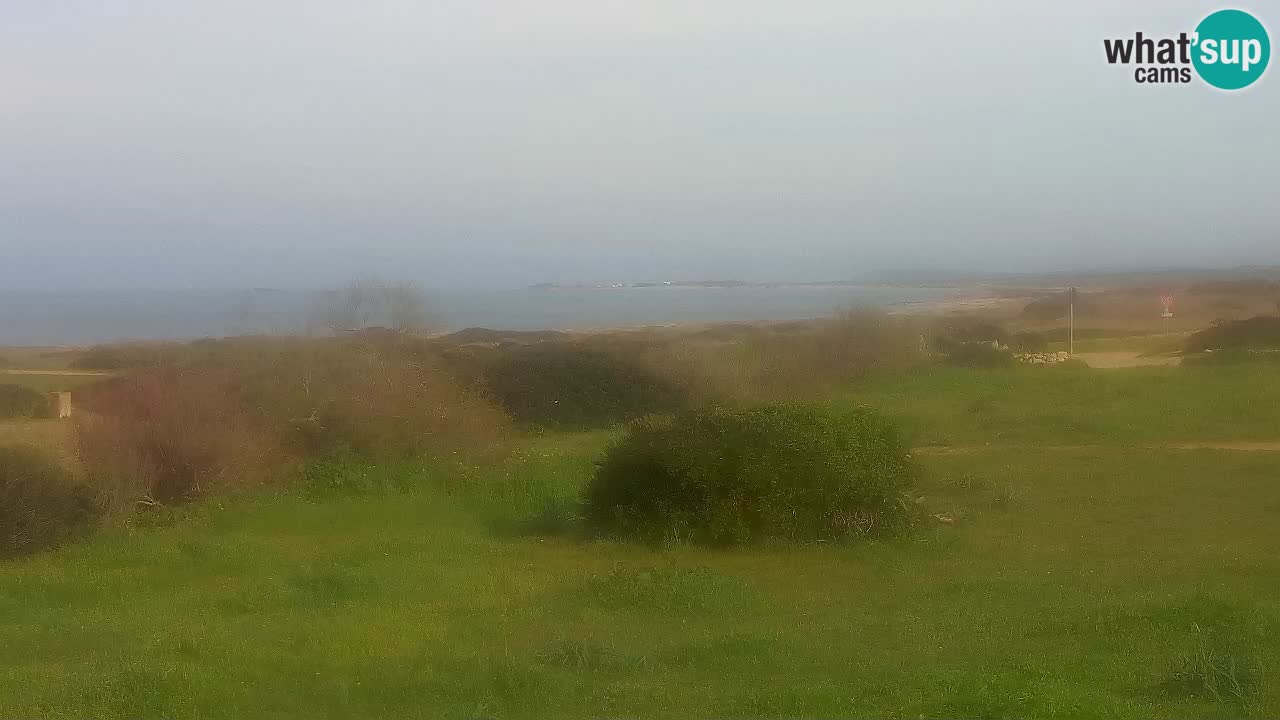 Playa Mari Ermi | Is Arutas – Oristano