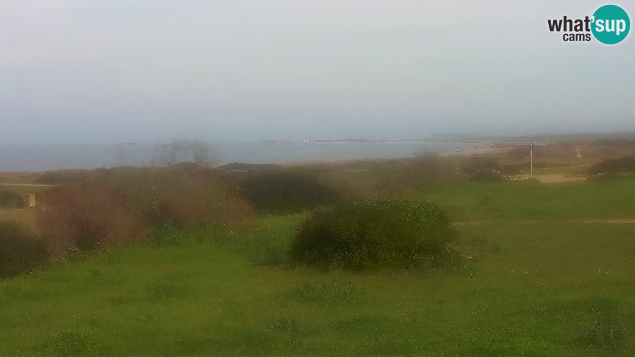 Spiaggia Mari Ermi | Is Arutas – Oristano