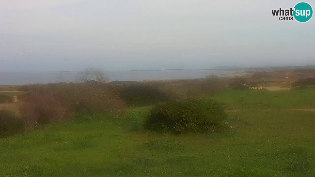 Mari Ermi beach | Is Arutas – Oristano