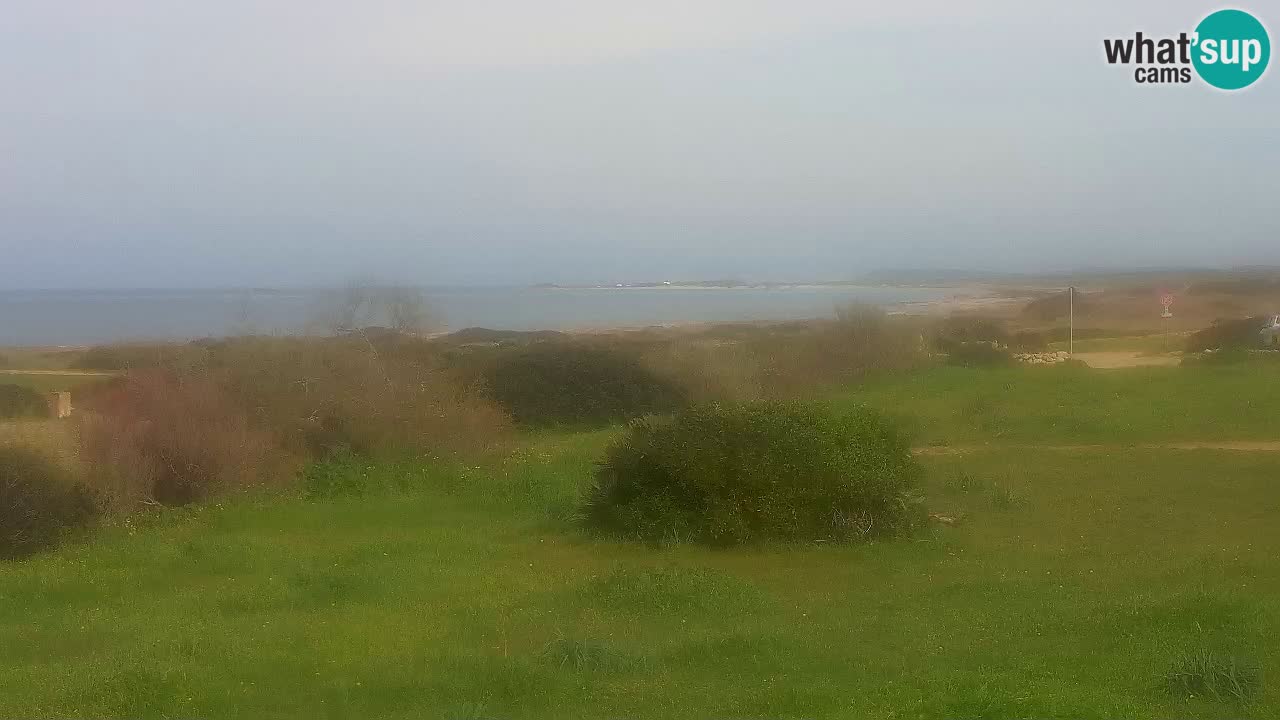 Plaža Mari Ermi | Is Arutas – Oristano