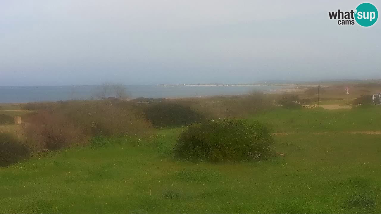 Mari Ermi Strand | Is Arutas – Oristano