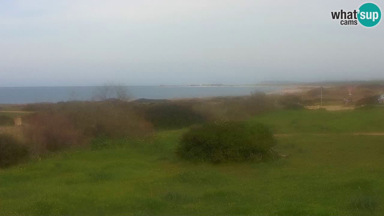 Playa Mari Ermi | Is Arutas – Oristano