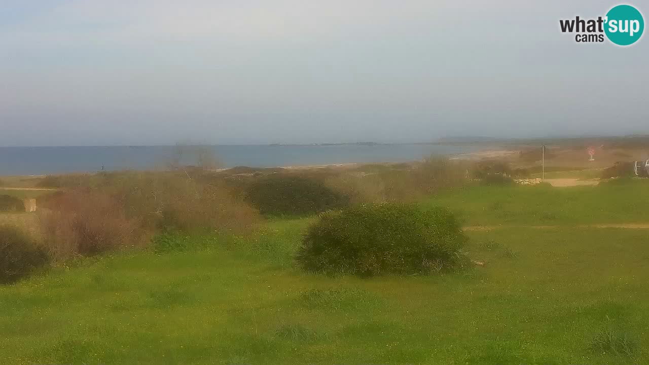 Mari Ermi Strand | Is Arutas – Oristano