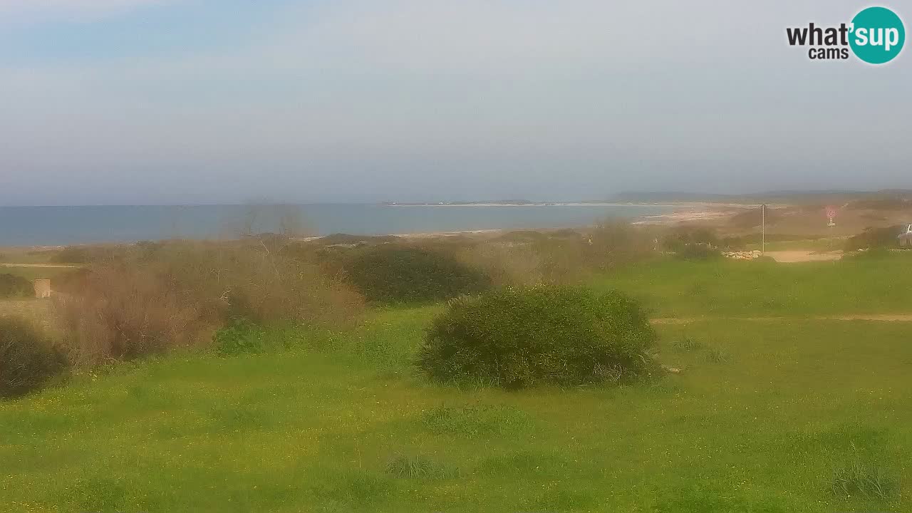 Spiaggia Mari Ermi | Is Arutas – Oristano