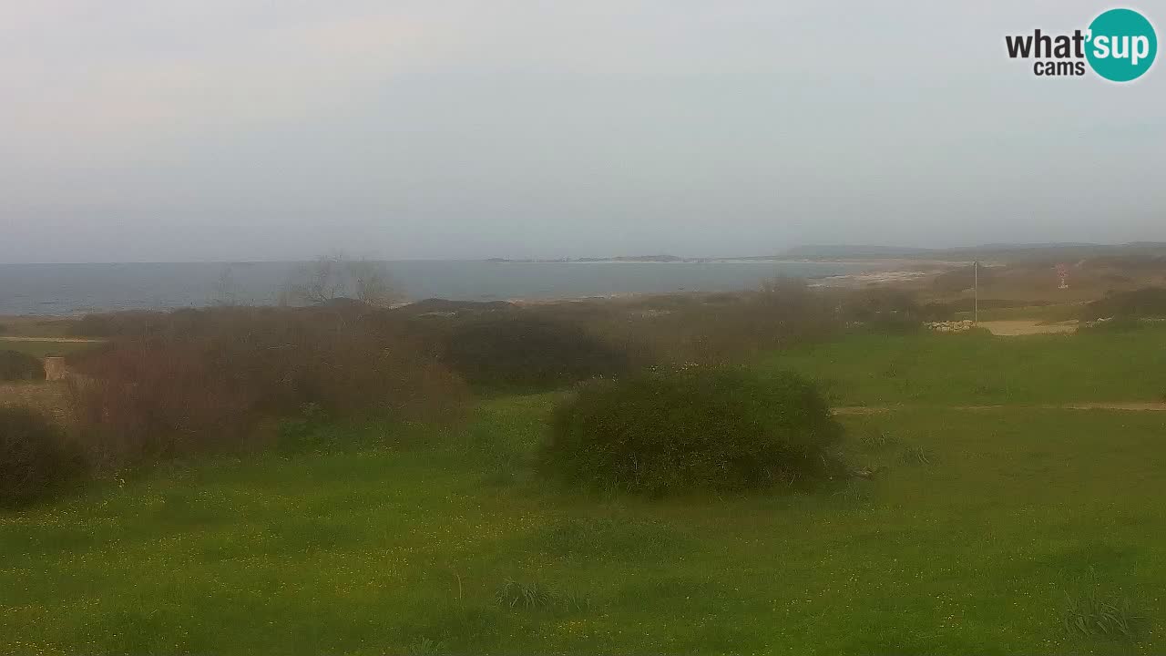 Plaža Mari Ermi | Is Arutas – Oristano