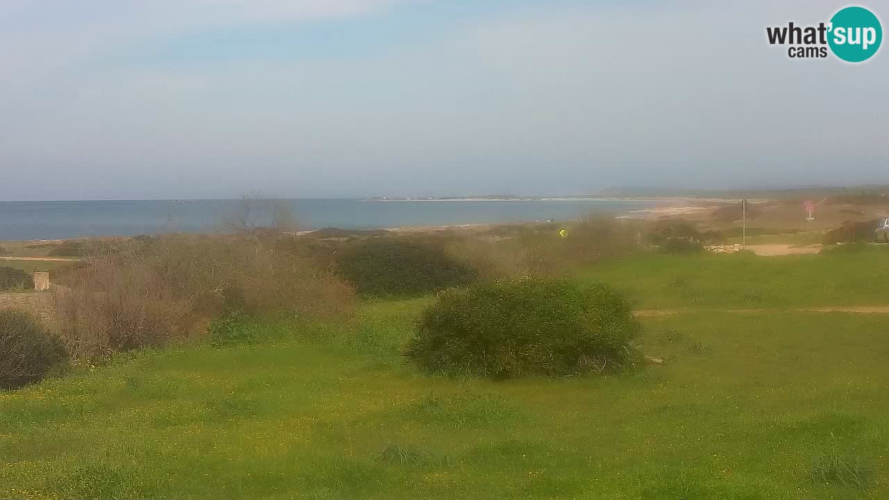 Plaža Mari Ermi | Is Arutas – Oristano