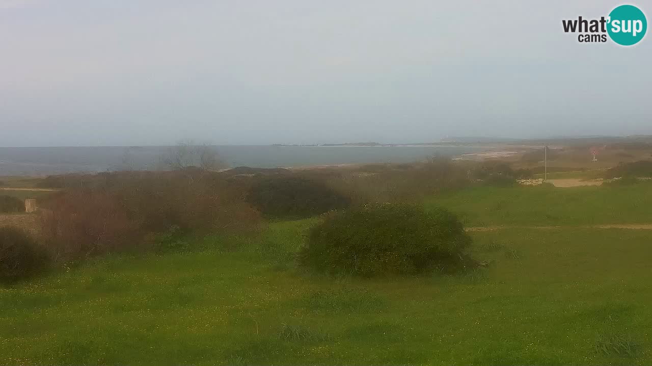 Plaža Mari Ermi | Is Arutas – Oristano