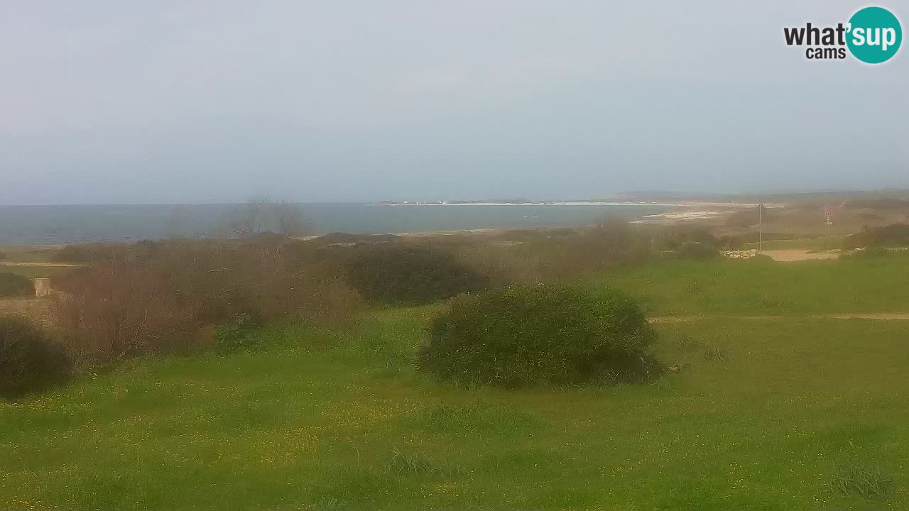 Plaža Mari Ermi | Is Arutas – Oristano