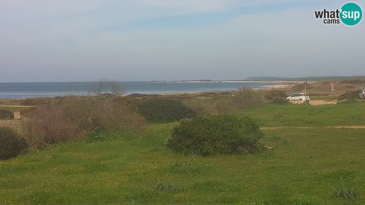 Plaža Mari Ermi | Is Arutas – Oristano