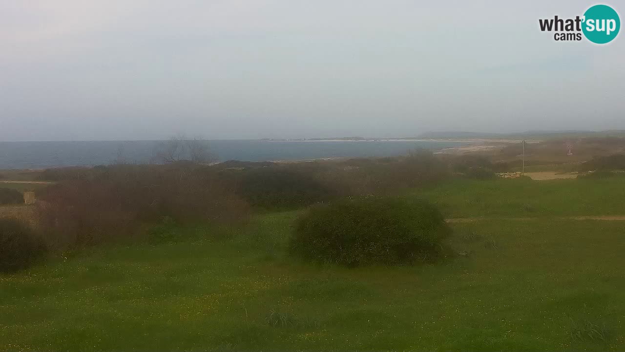 Mari Ermi beach | Is Arutas – Oristano