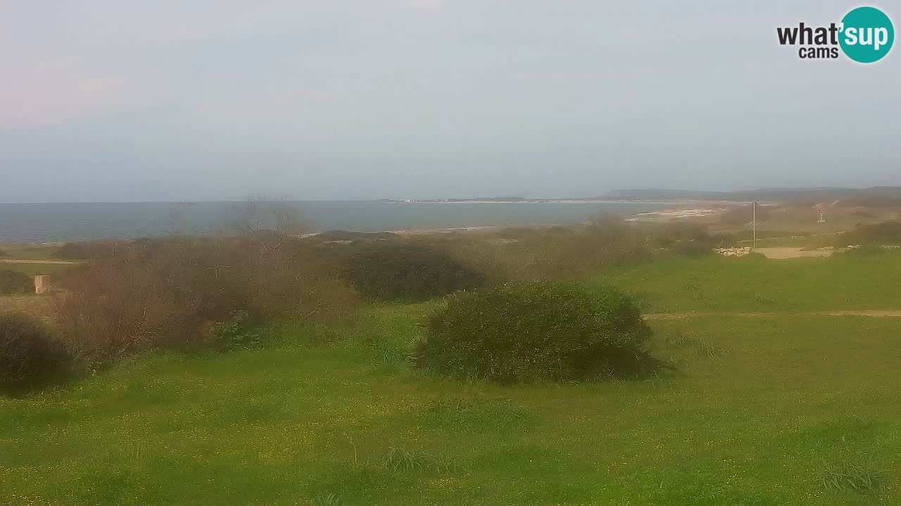 Mari Ermi beach | Is Arutas – Oristano