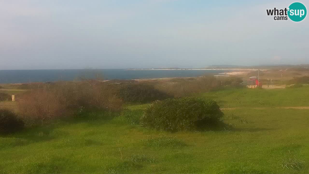 Playa Mari Ermi | Is Arutas – Oristano