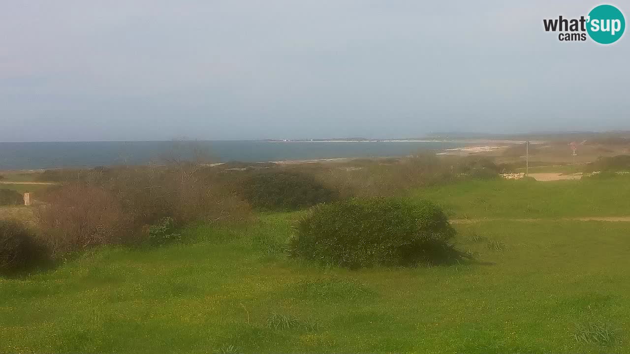 Spiaggia Mari Ermi | Is Arutas – Oristano