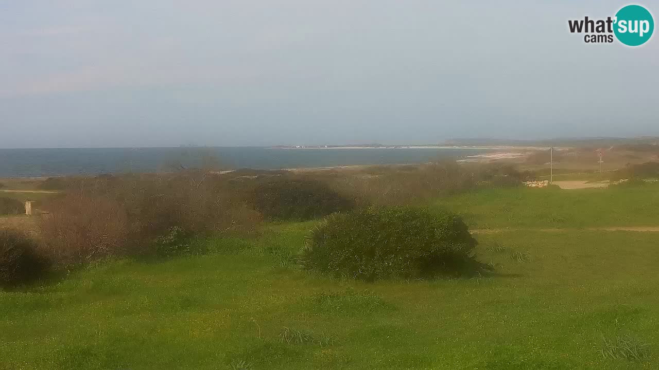 Plaža Mari Ermi | Is Arutas – Oristano