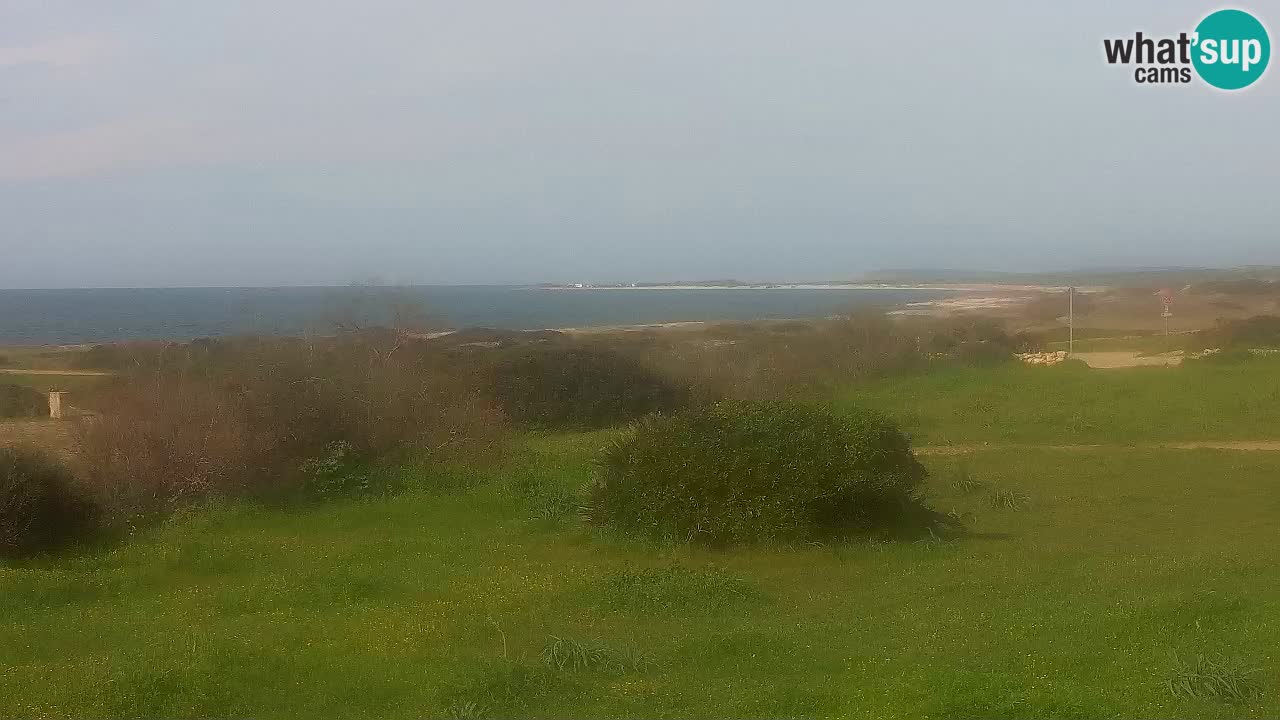 Playa Mari Ermi | Is Arutas – Oristano