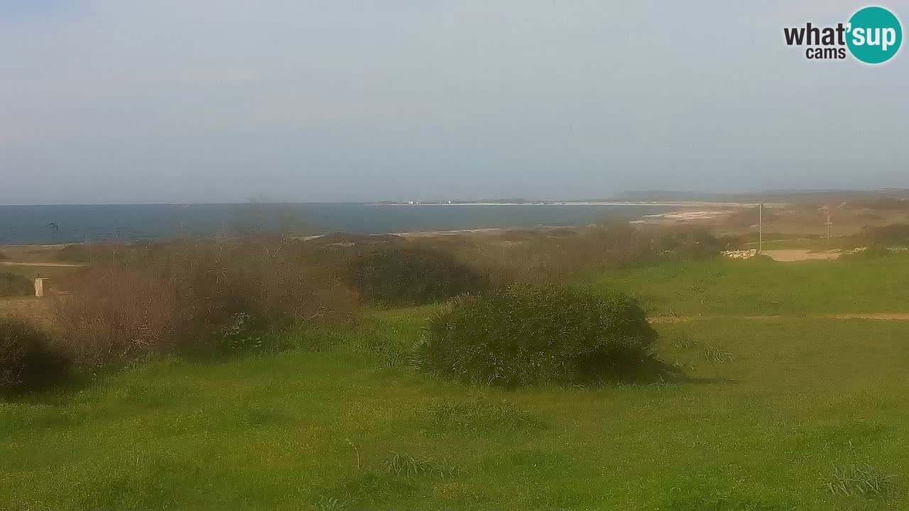 Plage Mari Ermi | Is Arutas – Oristano