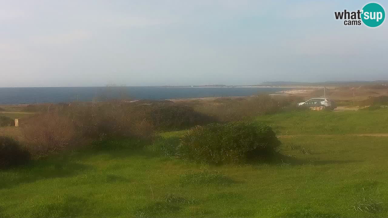 Playa Mari Ermi | Is Arutas – Oristano