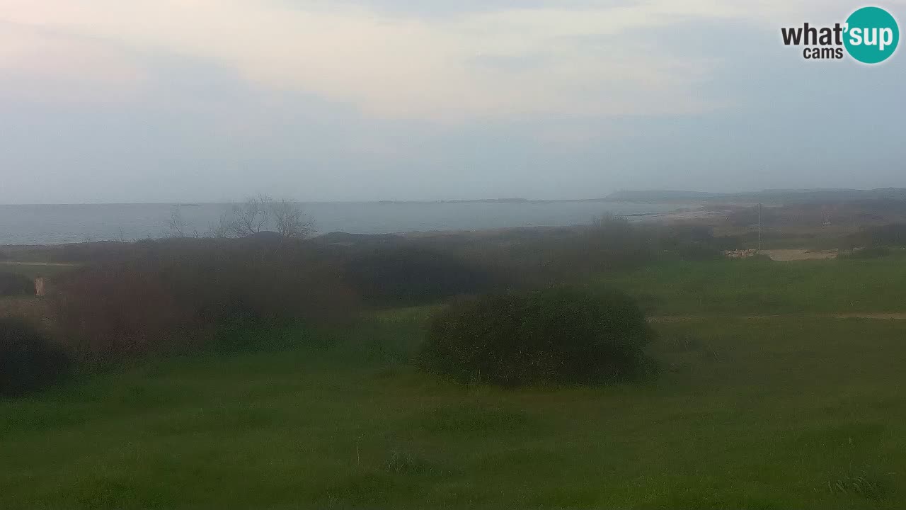 Plage Mari Ermi | Is Arutas – Oristano