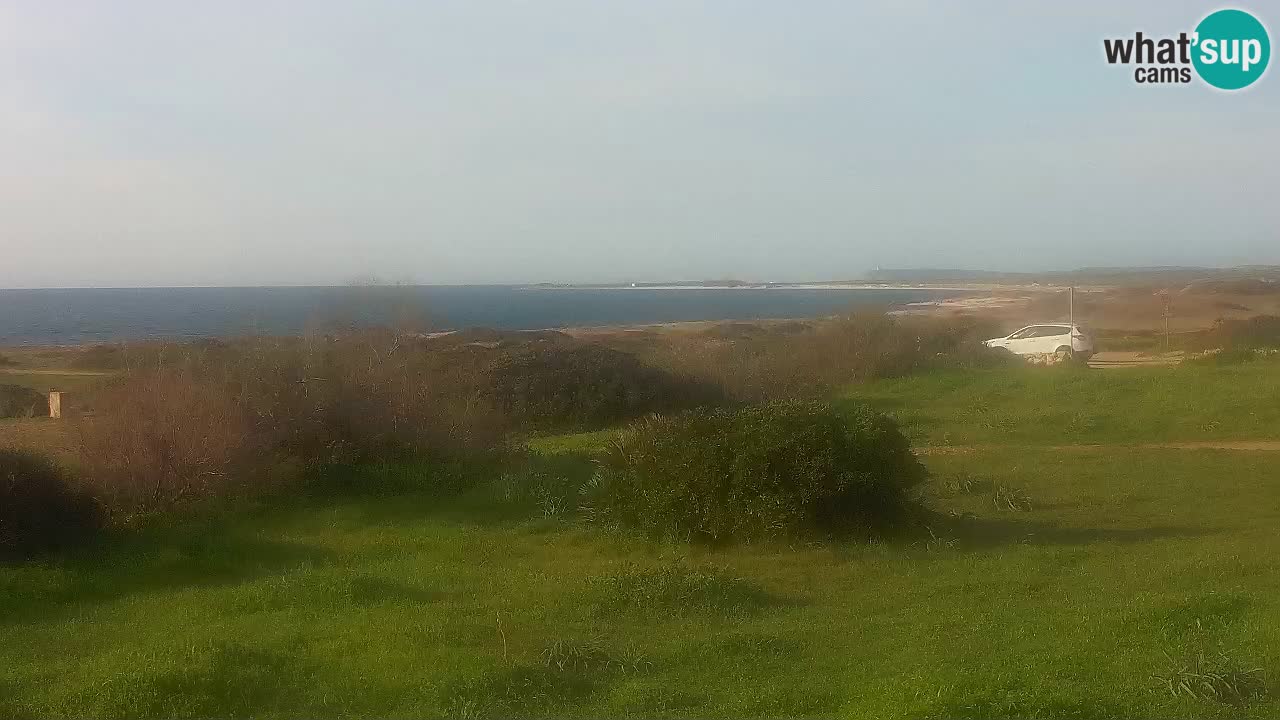 Playa Mari Ermi | Is Arutas – Oristano