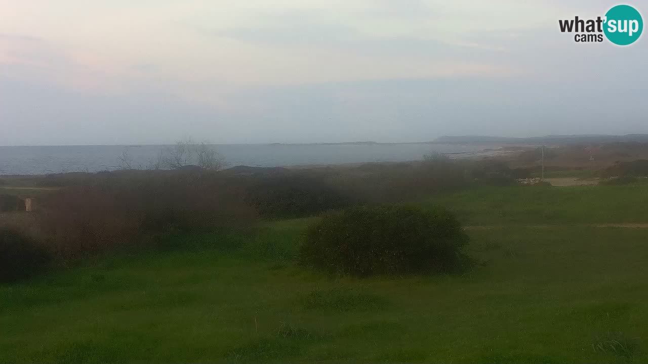 Mari Ermi Strand | Is Arutas – Oristano