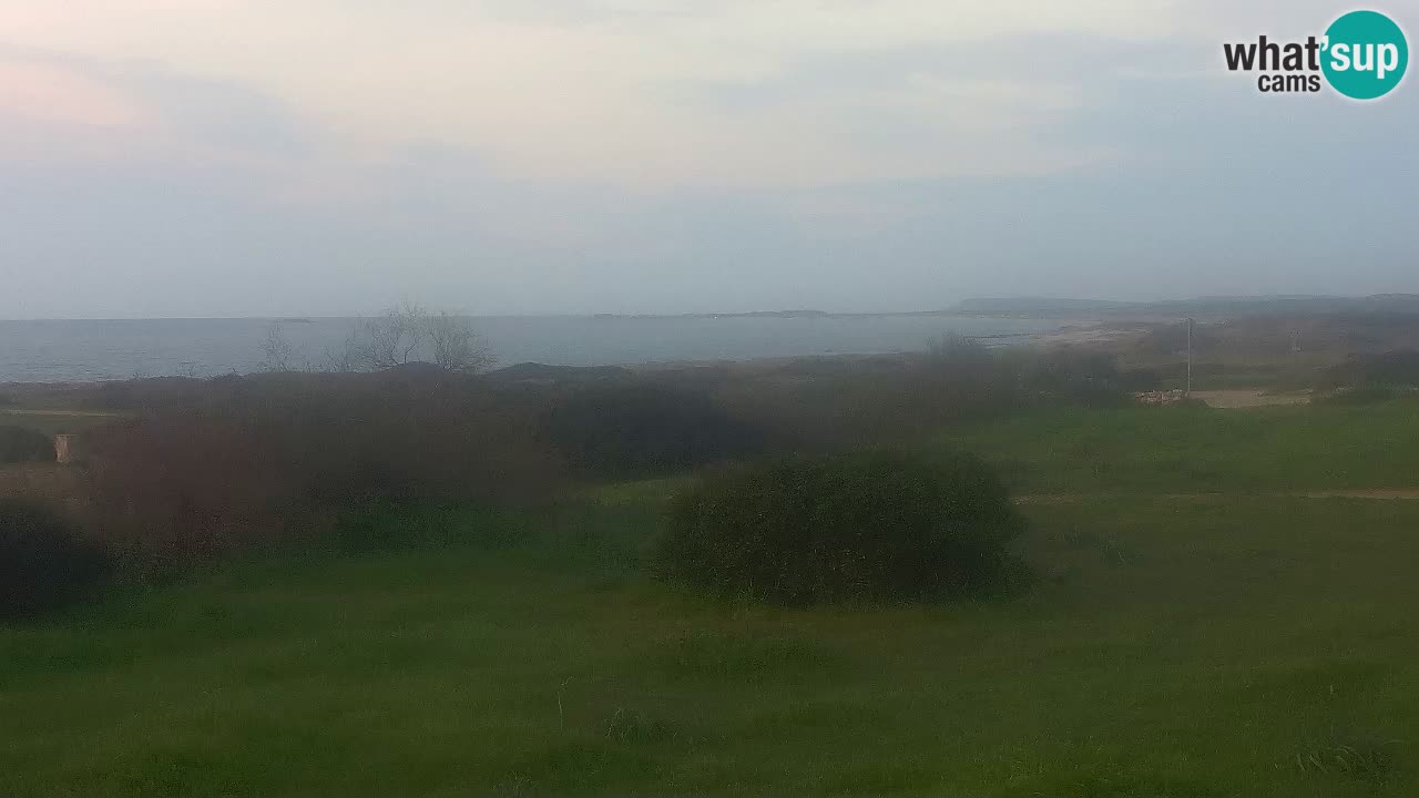 Plaža Mari Ermi | Is Arutas – Oristano