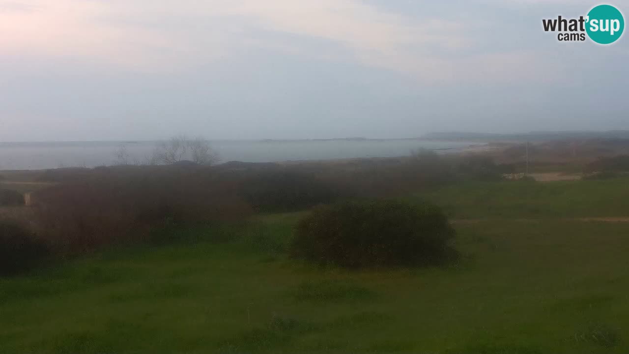 Playa Mari Ermi | Is Arutas – Oristano