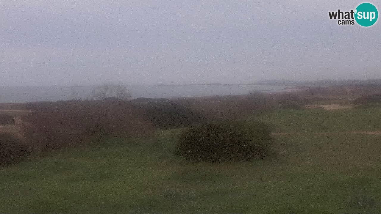 Mari Ermi Strand | Is Arutas – Oristano