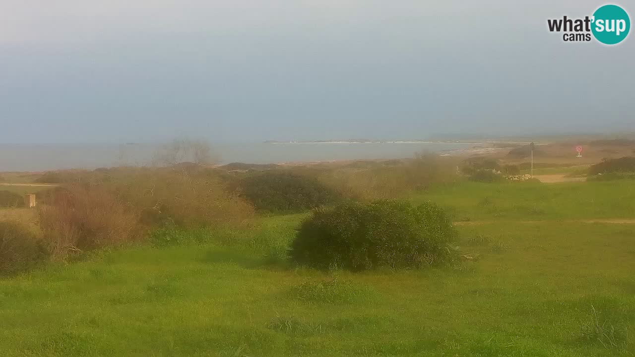 Plage Mari Ermi | Is Arutas – Oristano