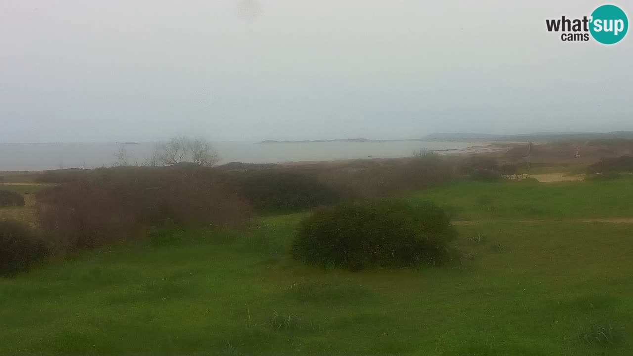 Mari Ermi Strand | Is Arutas – Oristano