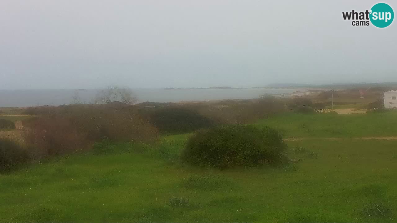 Plaža Mari Ermi | Is Arutas – Oristano