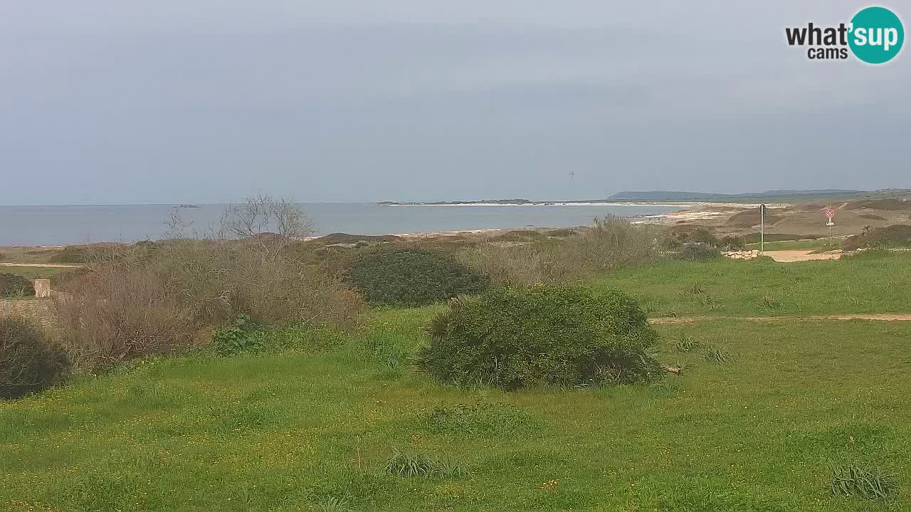 Plaža Mari Ermi | Is Arutas – Oristano