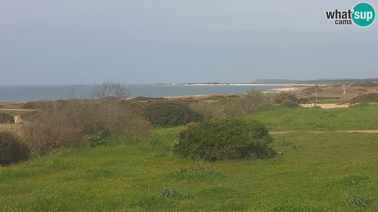 Spiaggia Mari Ermi | Is Arutas – Oristano