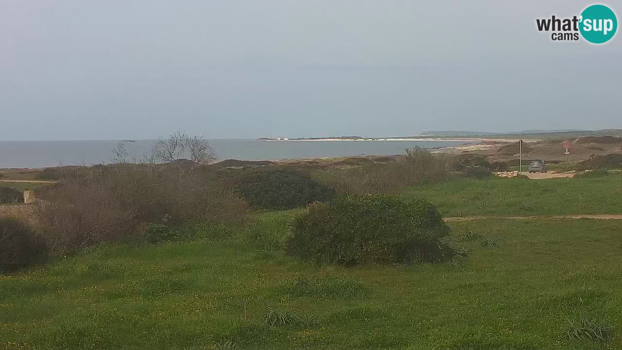 Plage Mari Ermi | Is Arutas – Oristano