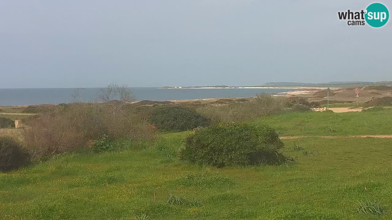 Spiaggia Mari Ermi | Is Arutas – Oristano