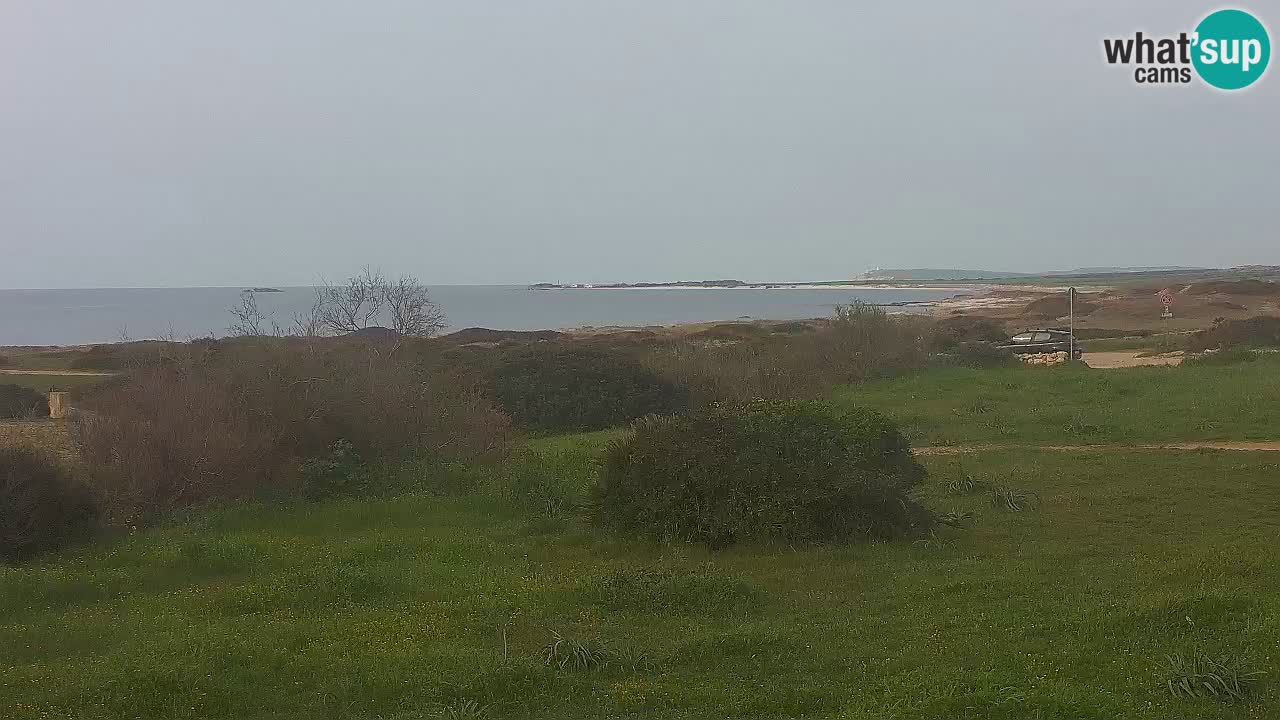 Mari Ermi beach | Is Arutas – Oristano