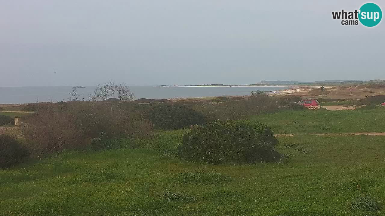 Playa Mari Ermi | Is Arutas – Oristano