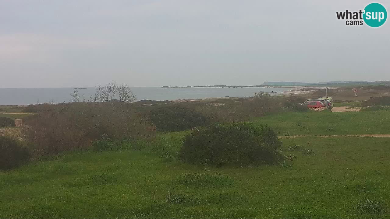 Plage Mari Ermi | Is Arutas – Oristano