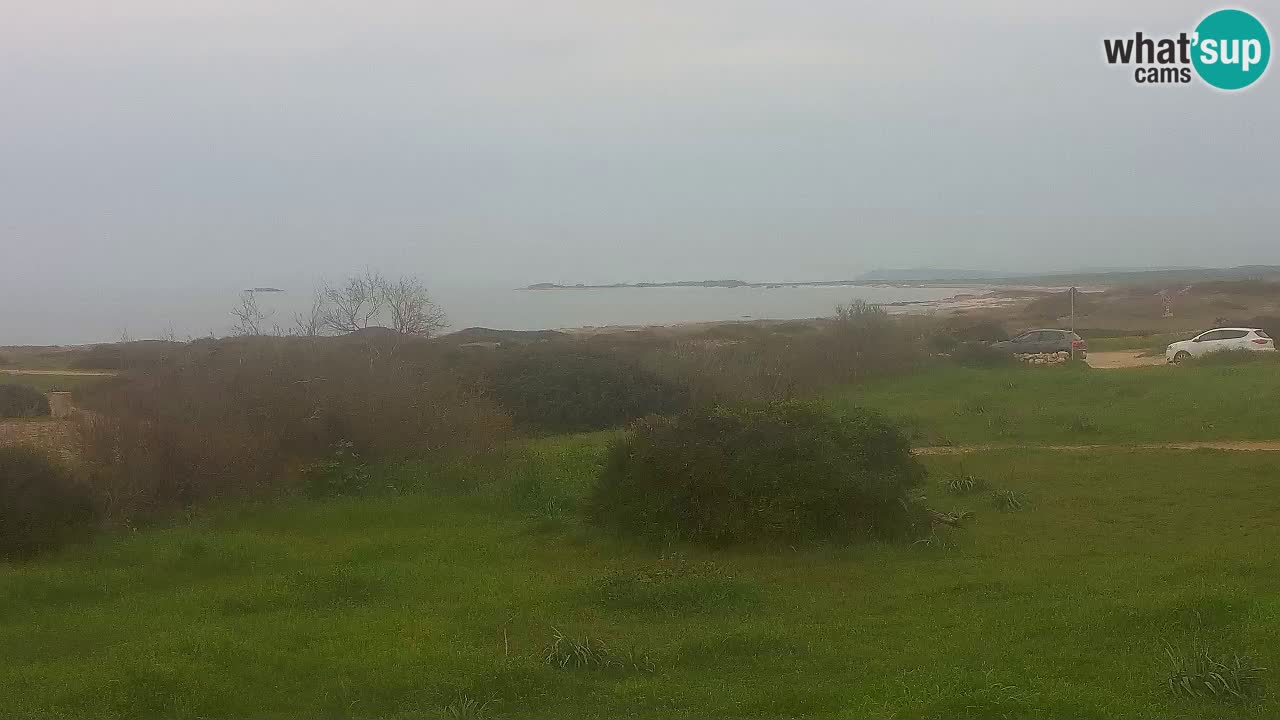 Plaža Mari Ermi | Is Arutas – Oristano