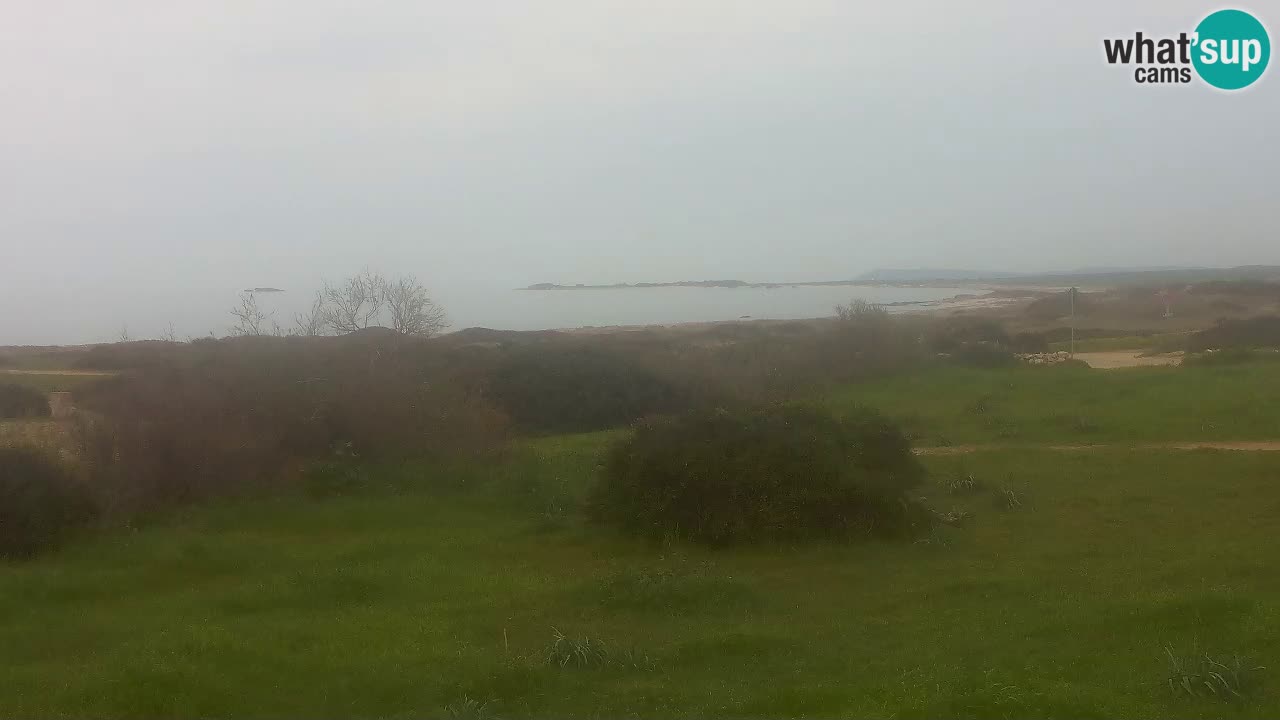 Plage Mari Ermi | Is Arutas – Oristano