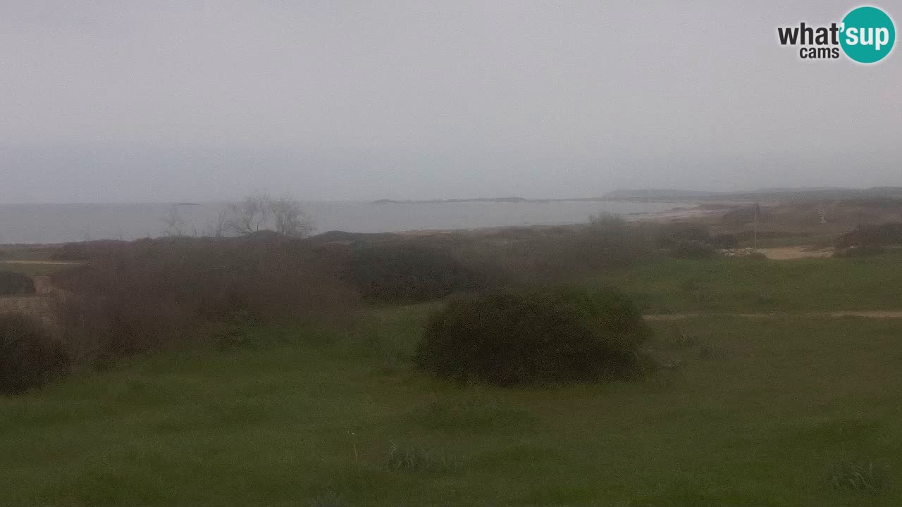 Mari Ermi Strand | Is Arutas – Oristano