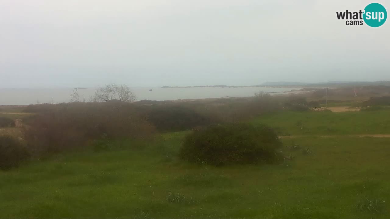 Plage Mari Ermi | Is Arutas – Oristano