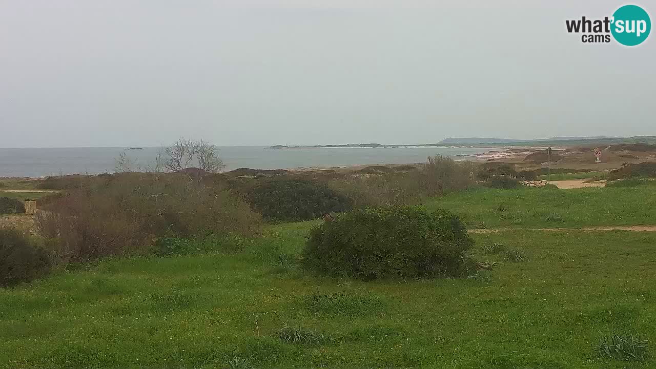 Mari Ermi beach | Is Arutas – Oristano