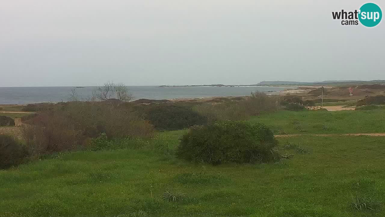 Mari Ermi beach | Is Arutas – Oristano