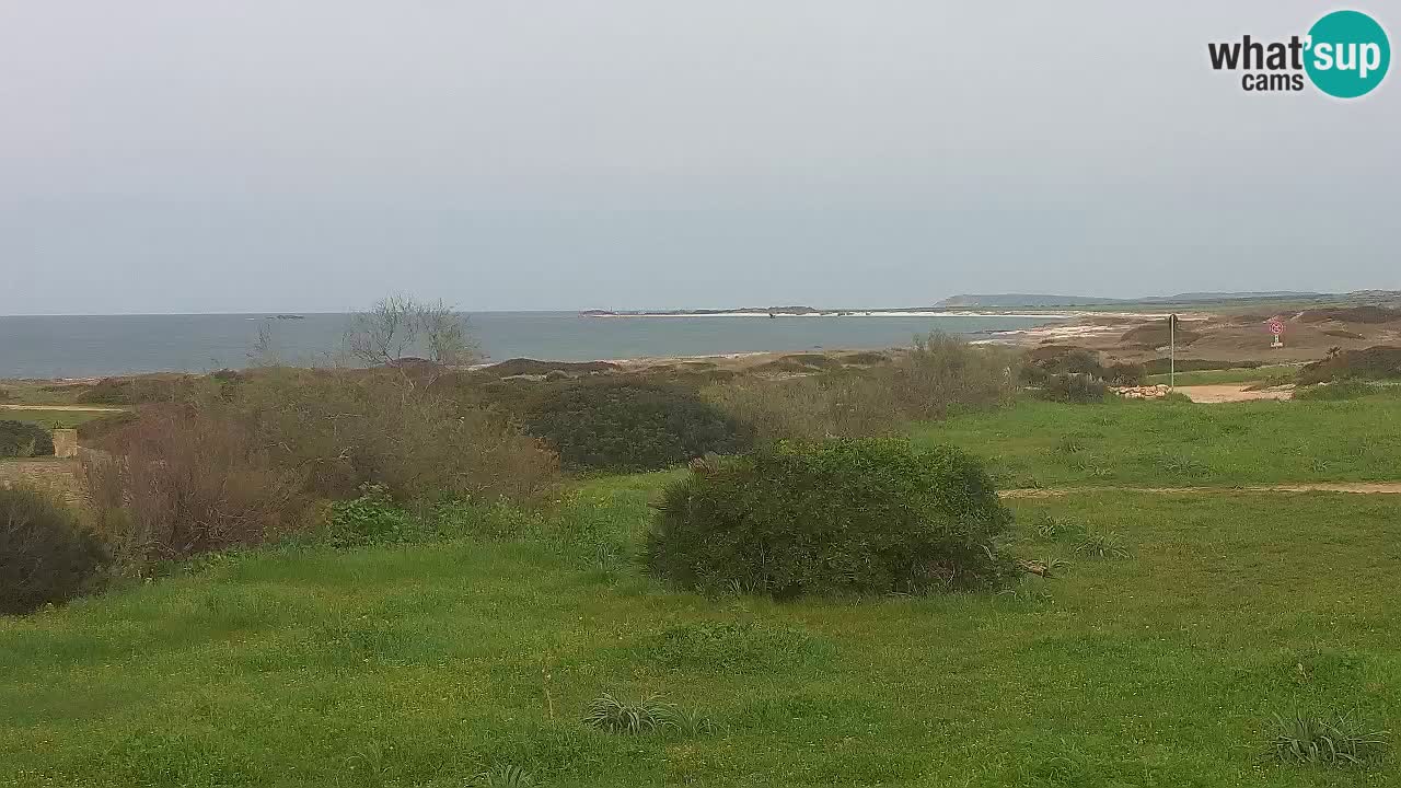 Plage Mari Ermi | Is Arutas – Oristano