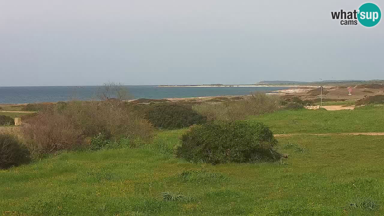 Plaža Mari Ermi | Is Arutas – Oristano