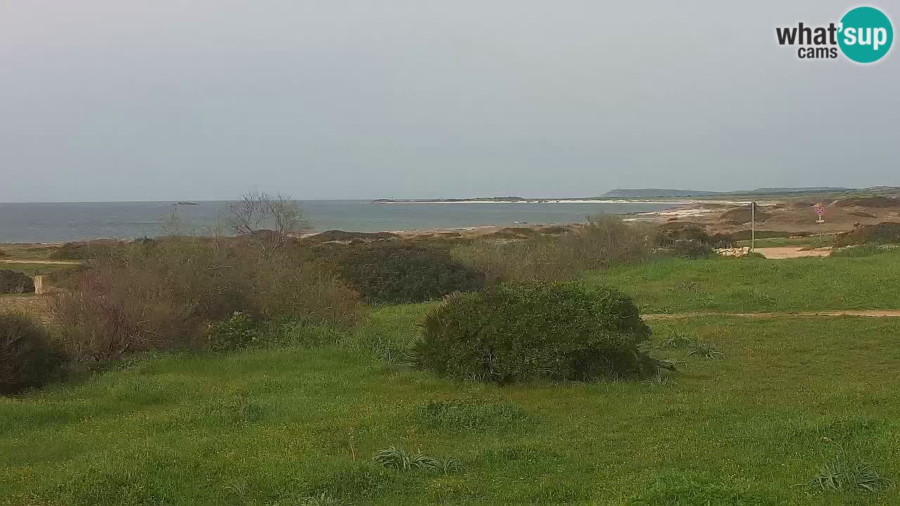 Playa Mari Ermi | Is Arutas – Oristano