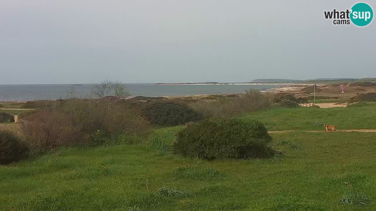 Plaža Mari Ermi | Is Arutas – Oristano